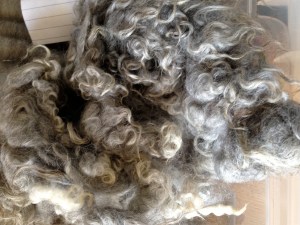 Dark grey Kainuu Grey