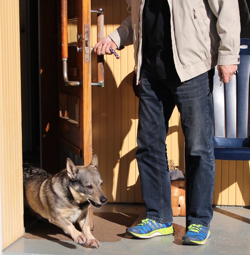 Watch out, hear comes Kasper!