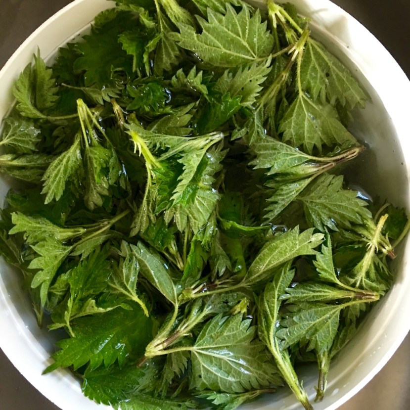 Nettles | Barbro's Threads