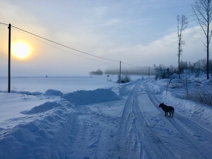 ejp3j%e0rnuz54psc0xw_thumb_6acc